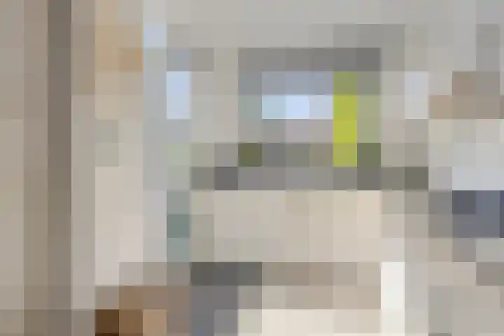 Ledderkenstraat 8 Stein thumbnail 5