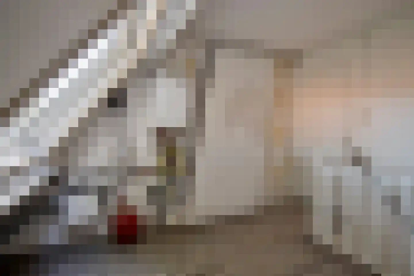 Lede 137 Rotterdam thumbnail 18
