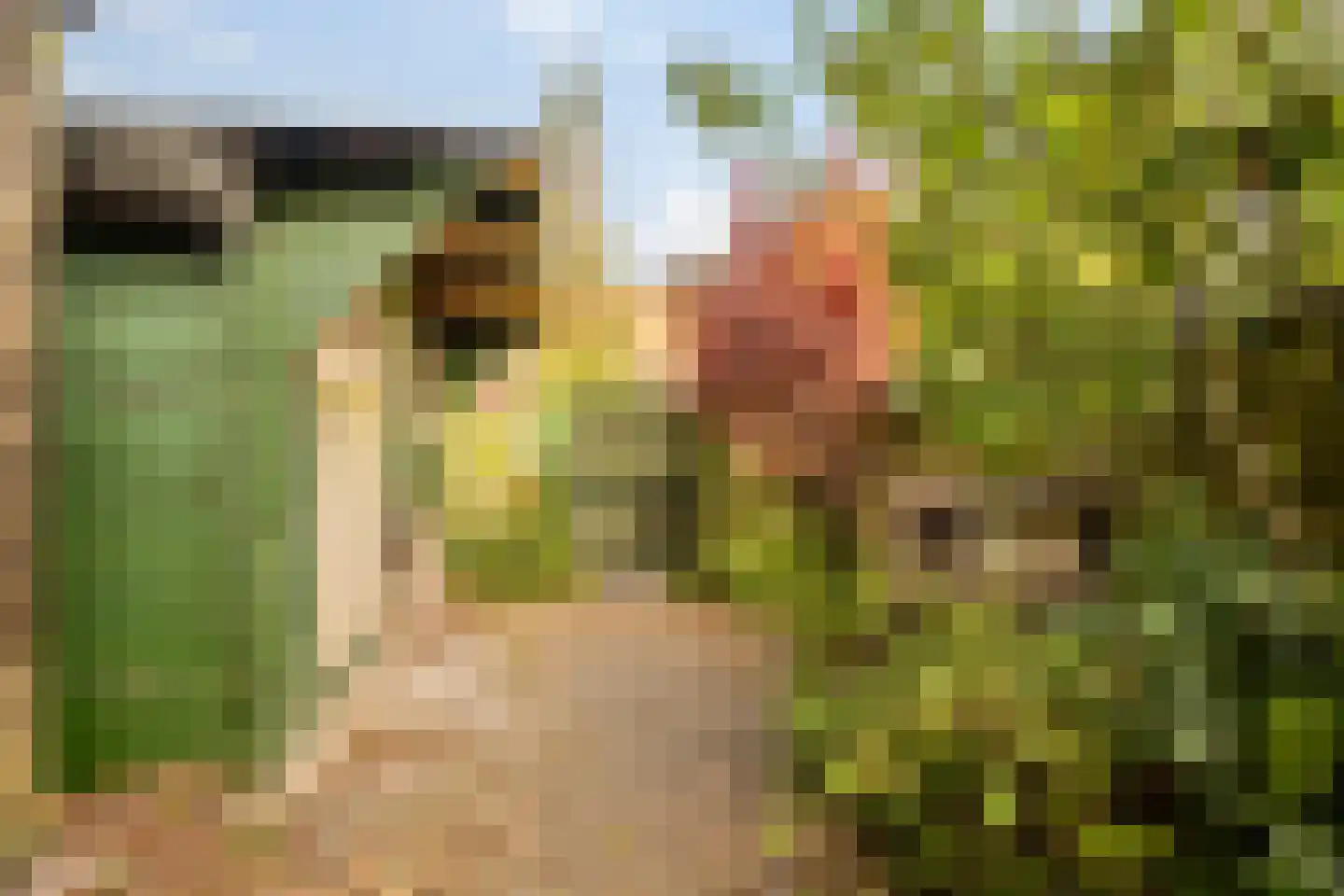 Lede 137 Rotterdam thumbnail 28