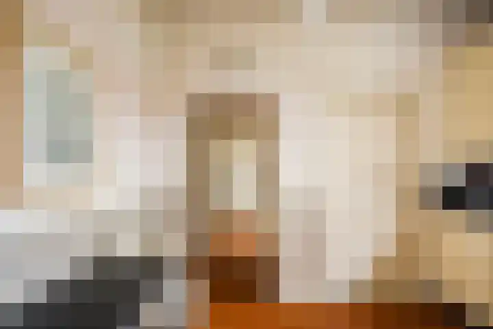 Lede 37 Rotterdam thumbnail 19