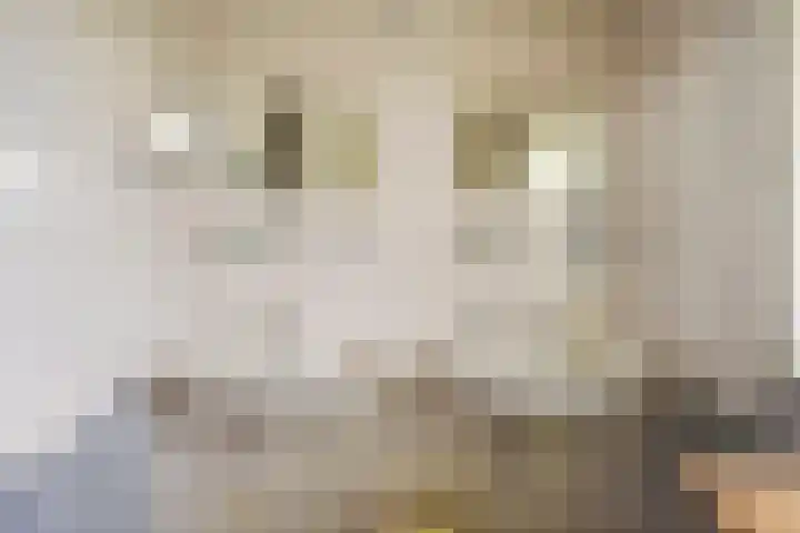 Lede 37 Rotterdam thumbnail 32