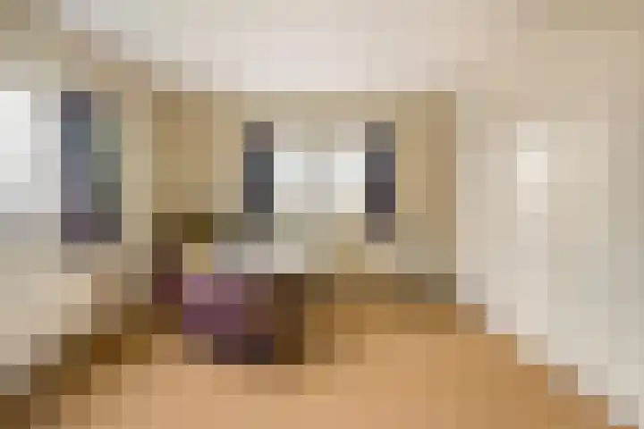 Lede 37 Rotterdam thumbnail 33