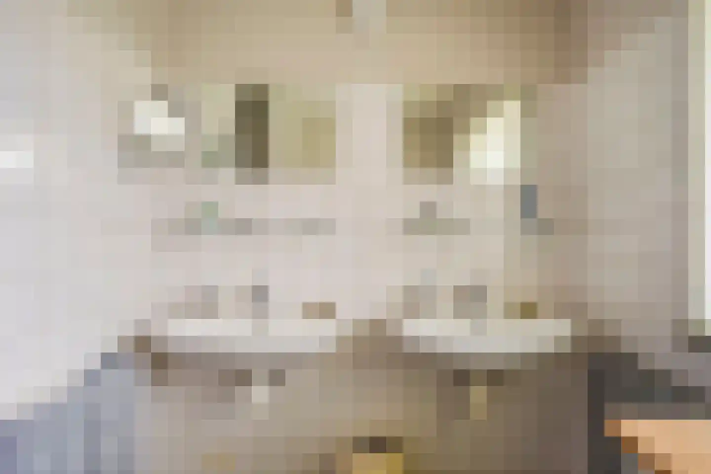 Lede 37 Rotterdam thumbnail 35