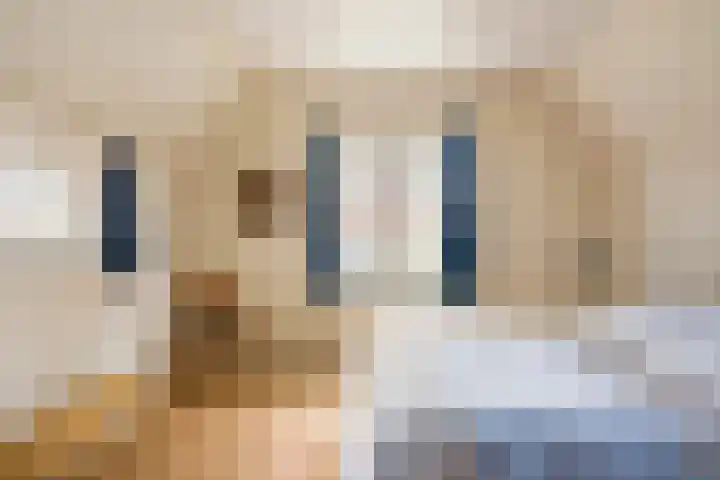 Lede 37 Rotterdam thumbnail 36