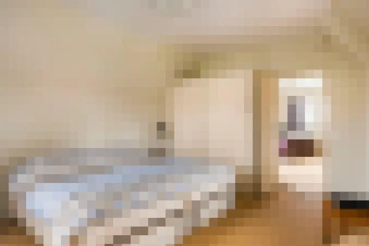 Lede 37 Rotterdam thumbnail 38