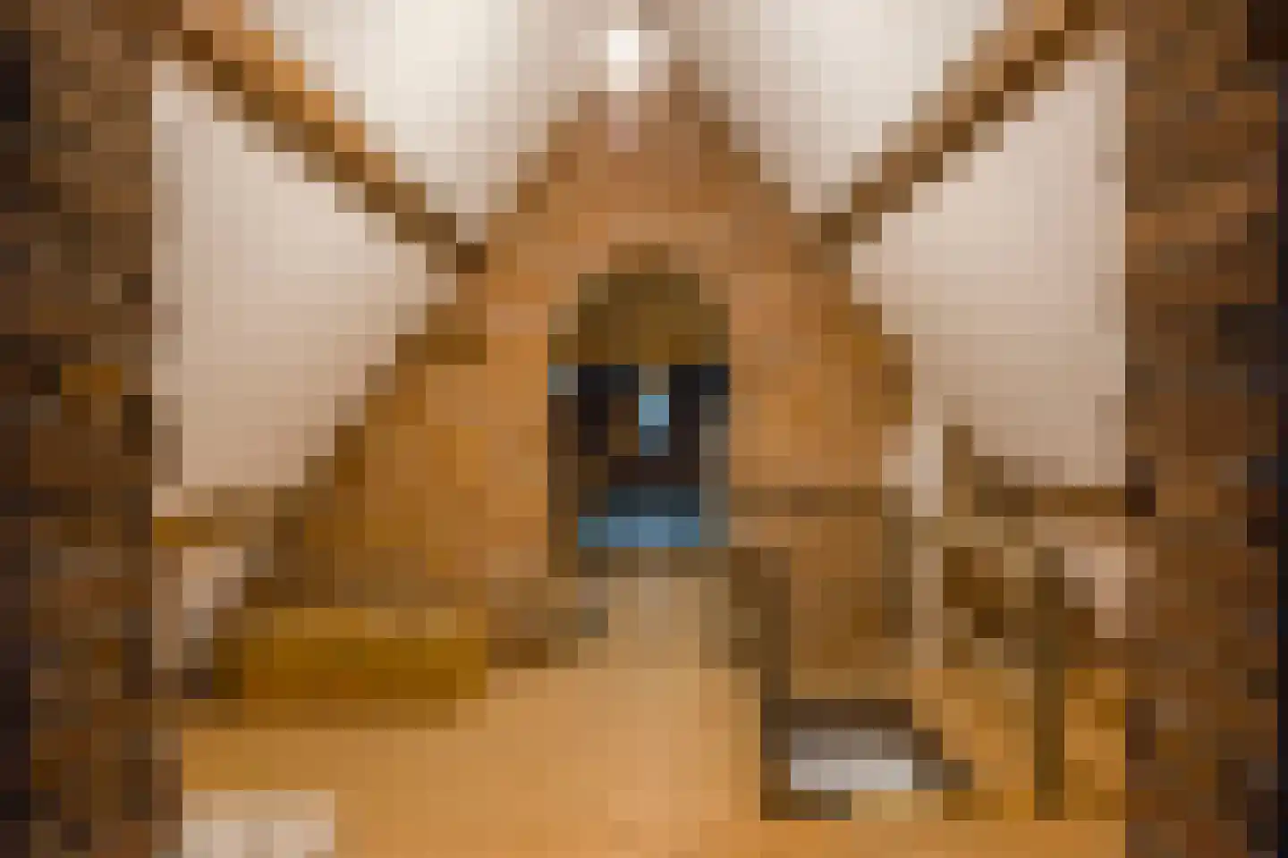 Lede 37 Rotterdam thumbnail 41