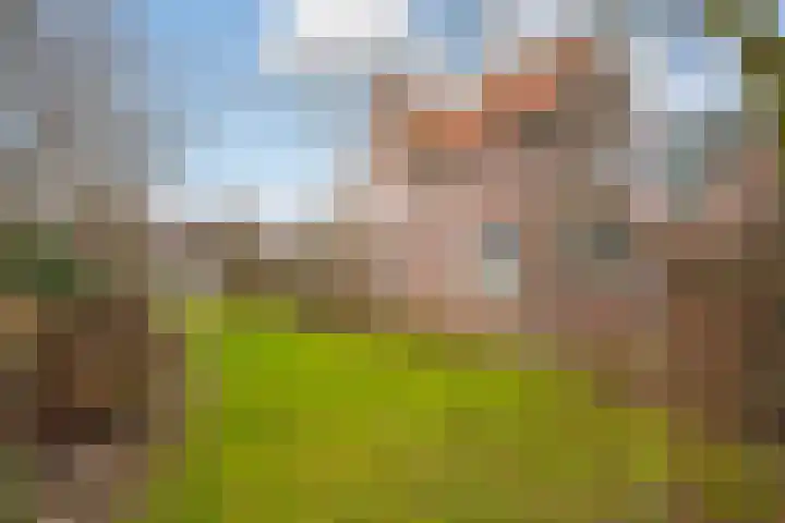 Lede 37 Rotterdam thumbnail 42
