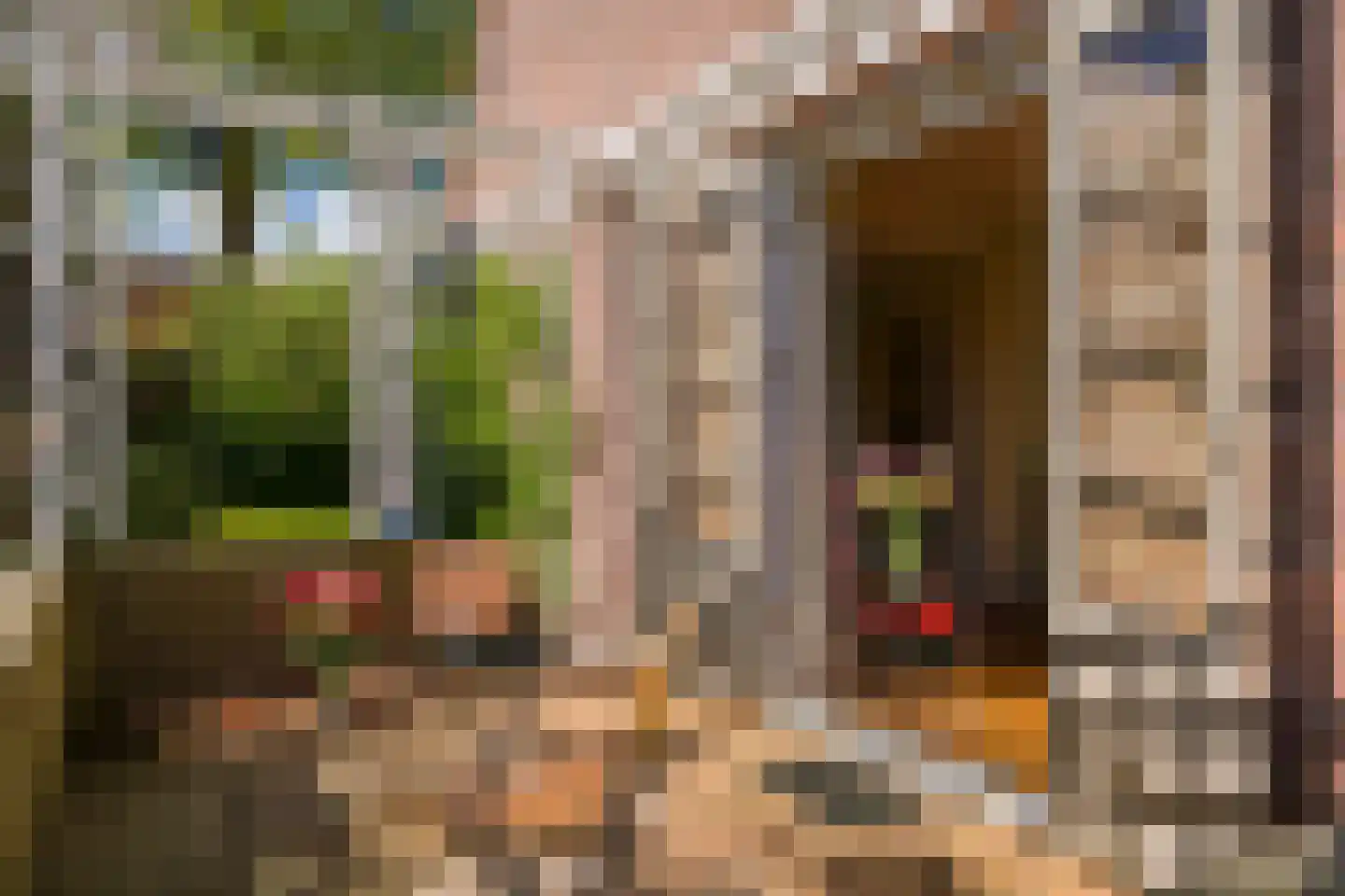 Lede 37 Rotterdam thumbnail 43