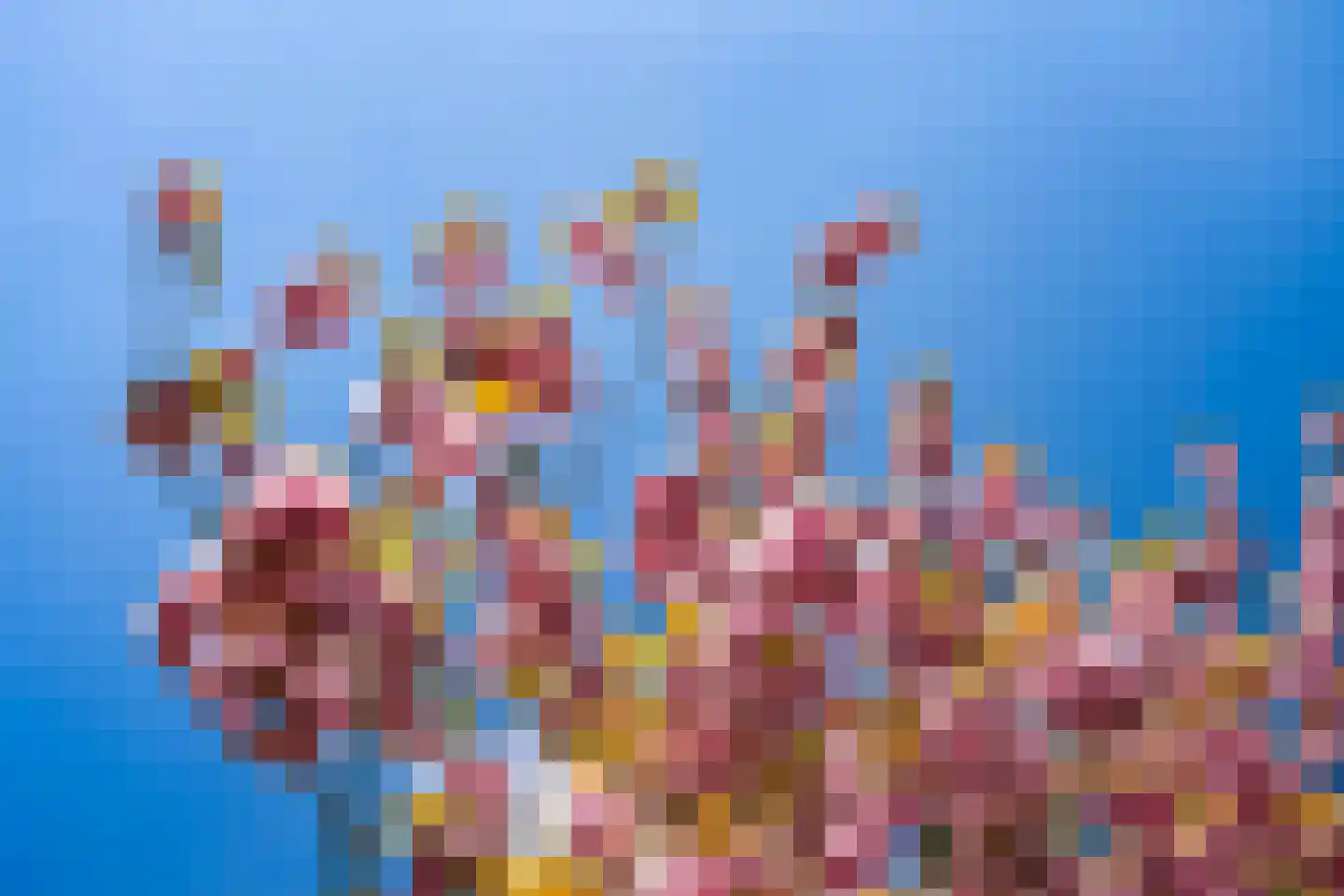 Lede 37 Rotterdam thumbnail 45