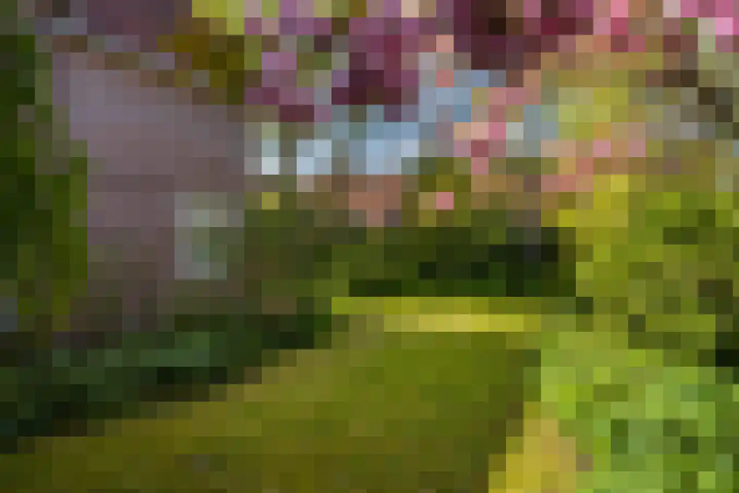 Lede 37 Rotterdam thumbnail 46