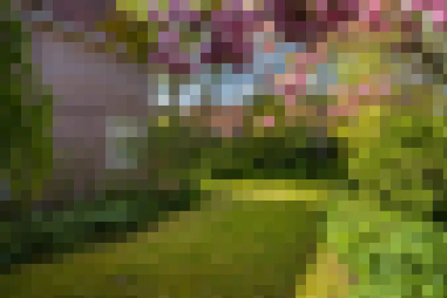 Lede 37 Rotterdam thumbnail 46