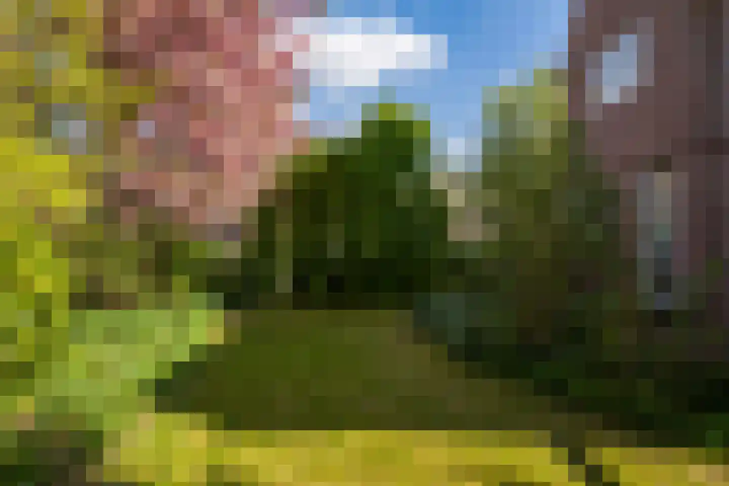 Lede 37 Rotterdam thumbnail 47