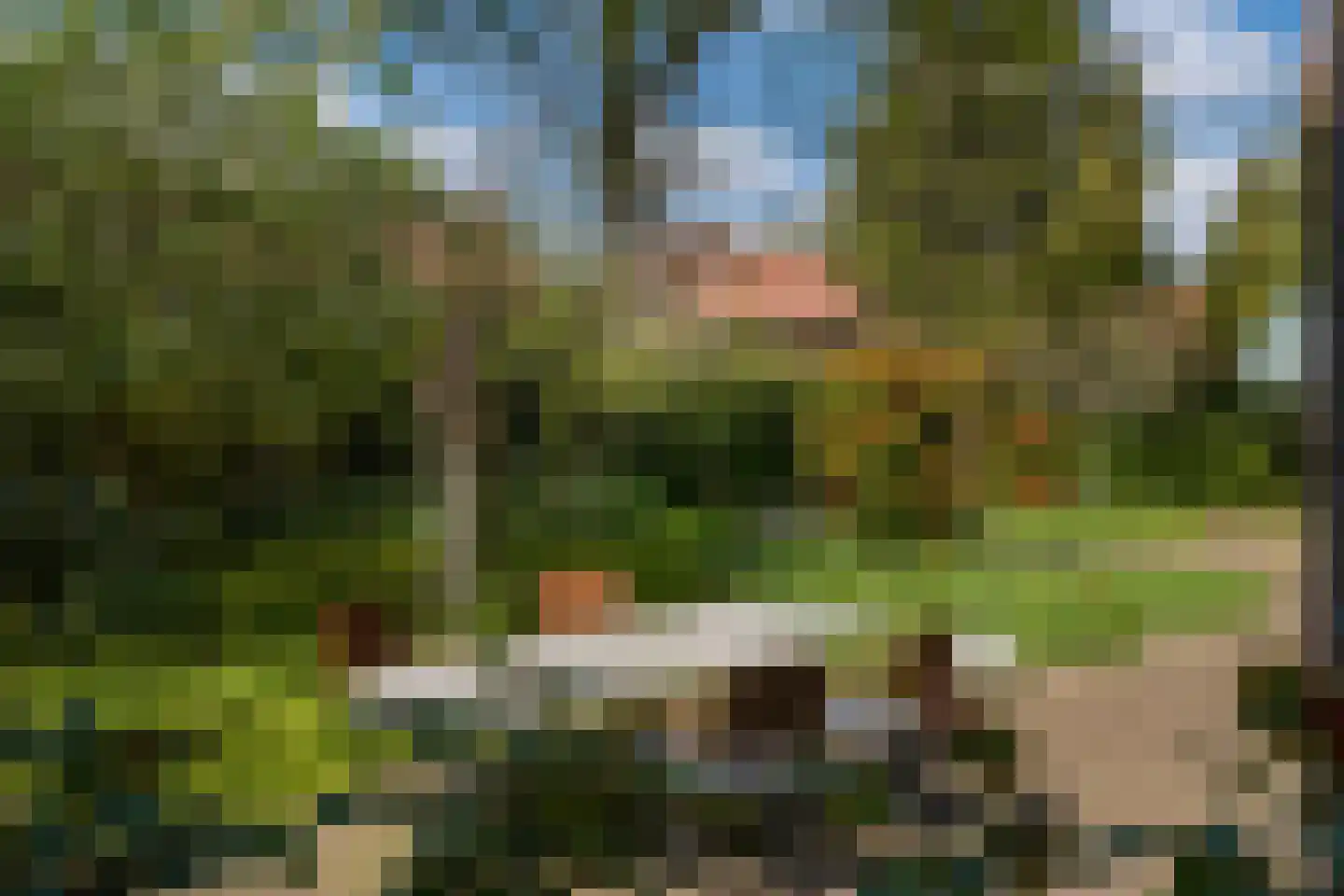 Lede 37 Rotterdam thumbnail 47