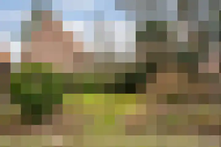 Lede 37 Rotterdam thumbnail 48