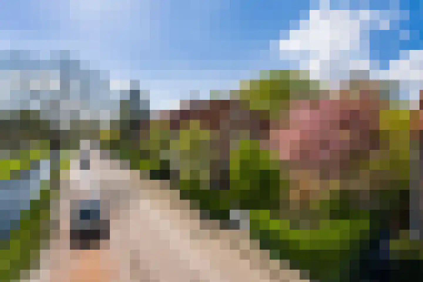 Lede 37 Rotterdam thumbnail 51
