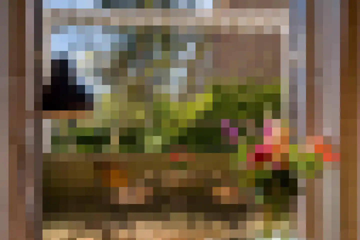 Lede 37 Rotterdam thumbnail 6