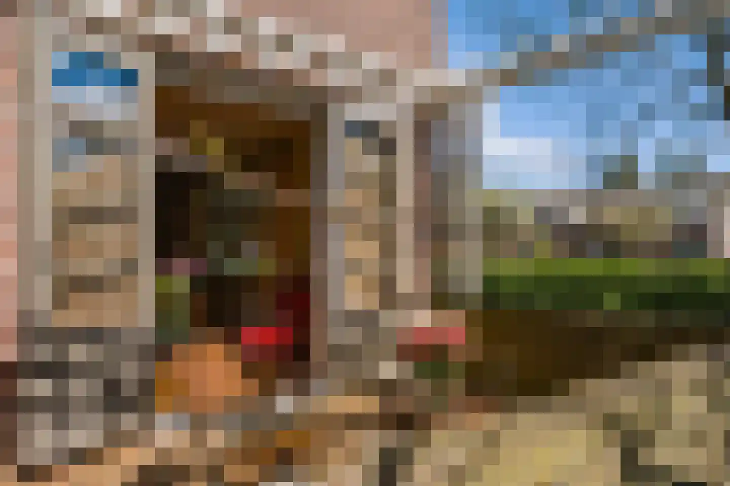 Lede 37 Rotterdam thumbnail 7