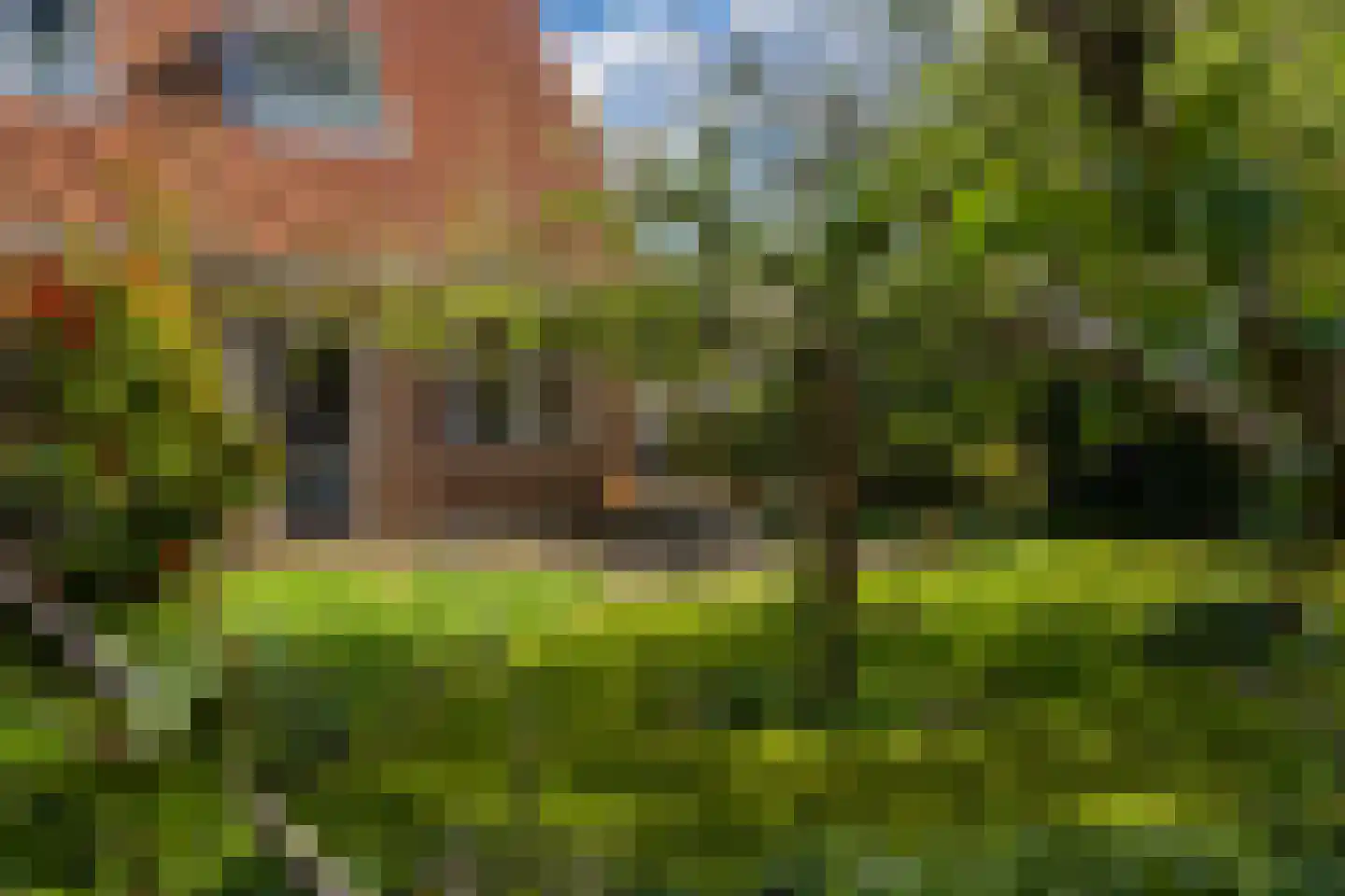 Lede 37 Rotterdam thumbnail 8
