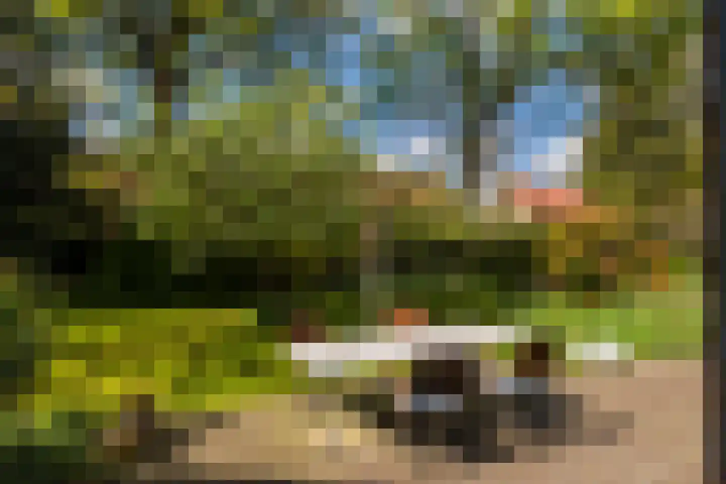 Lede 37 Rotterdam thumbnail 9