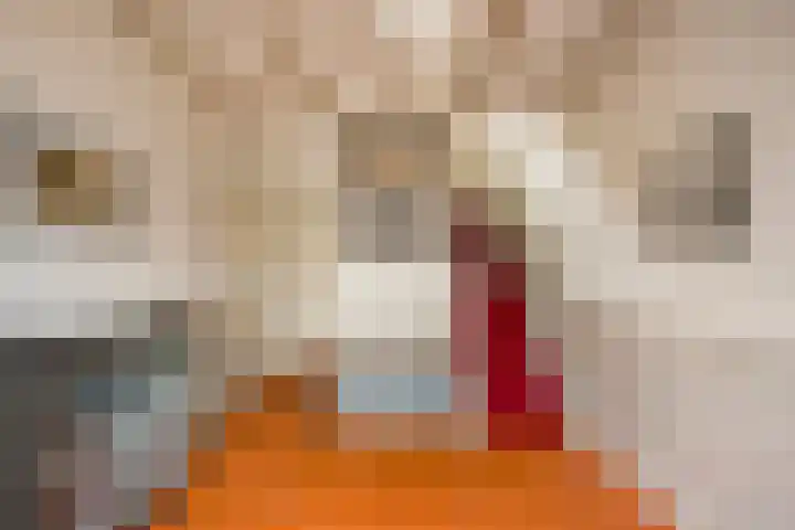 Lede 37 Rotterdam thumbnail 9