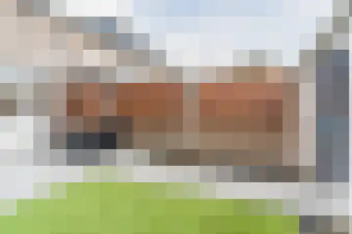Ledeackerstraat 13 Tilburg thumbnail 41