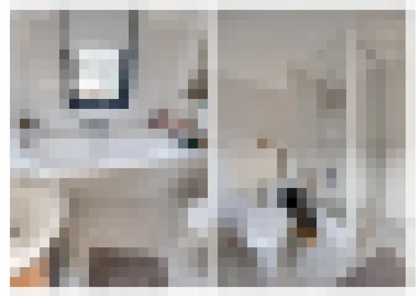 Ledeackerstraat 22 Tilburg thumbnail 29