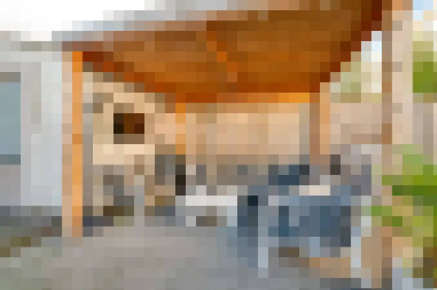 Ledeackerstraat 22 Tilburg thumbnail 41