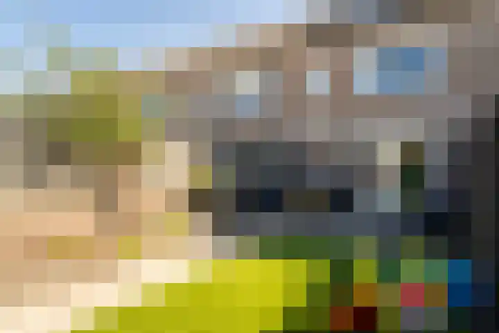Ledeackerstraat 35 Tilburg thumbnail 34