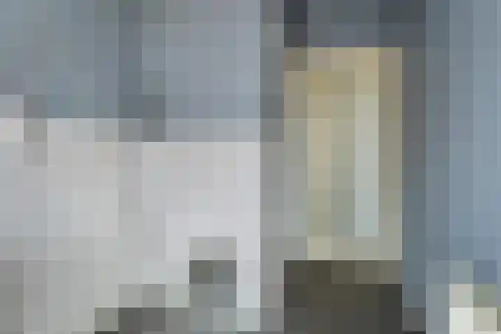 Ledeganckplein 31 Den Haag thumbnail 12