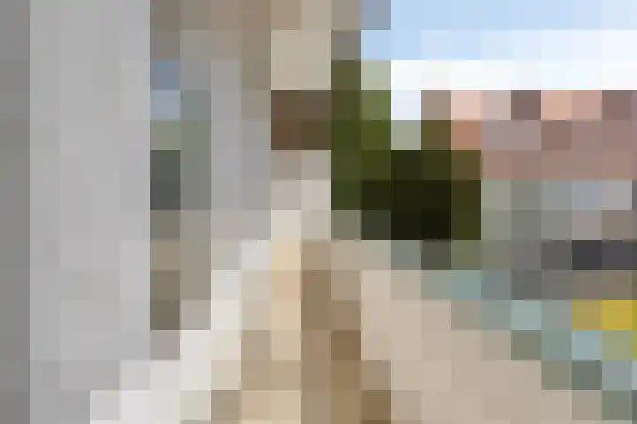 Ledeganckplein 31 Den Haag thumbnail 15