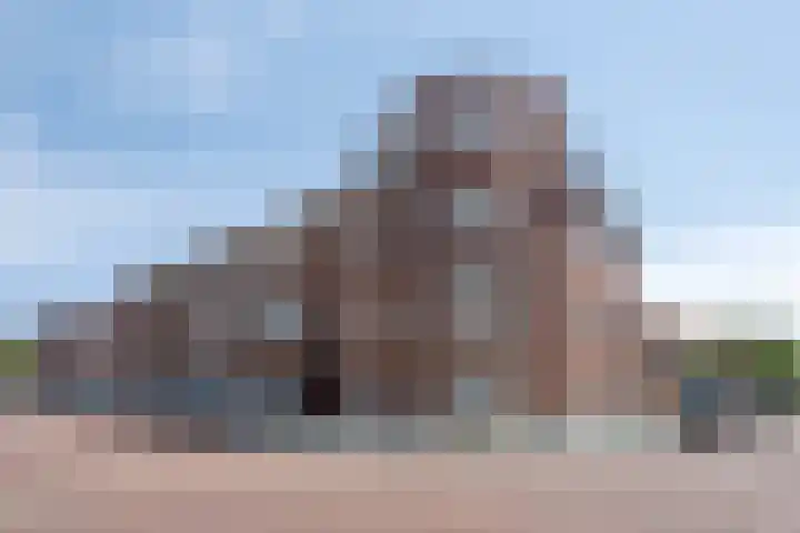 Ledeganckplein 31 Den Haag thumbnail 18