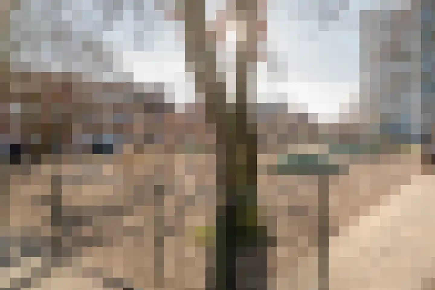 Ledeganckplein 55 Den Haag thumbnail 23