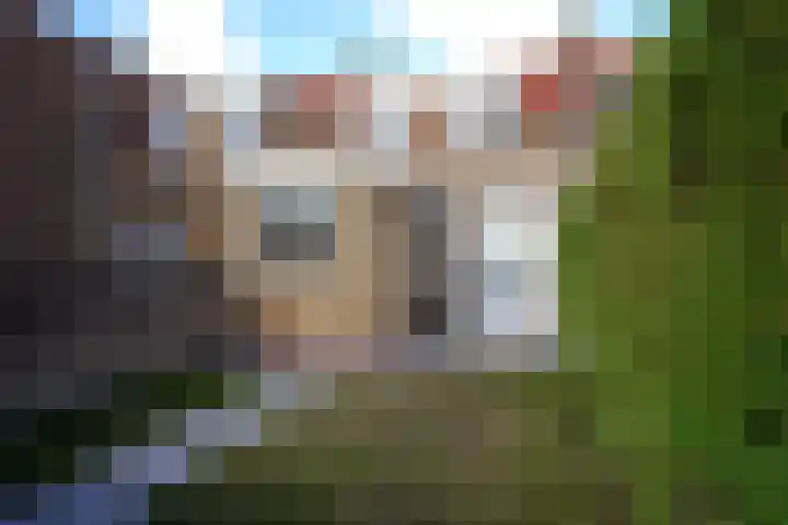 Ledelplein 14 Oostburg thumbnail 34