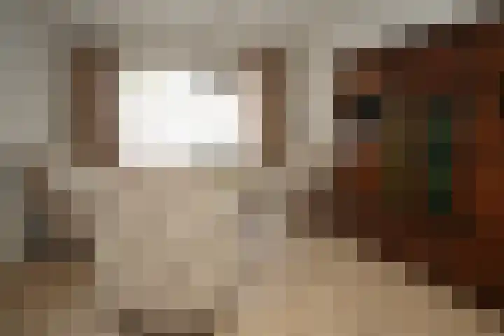 Ledelplein 14 Oostburg thumbnail 4