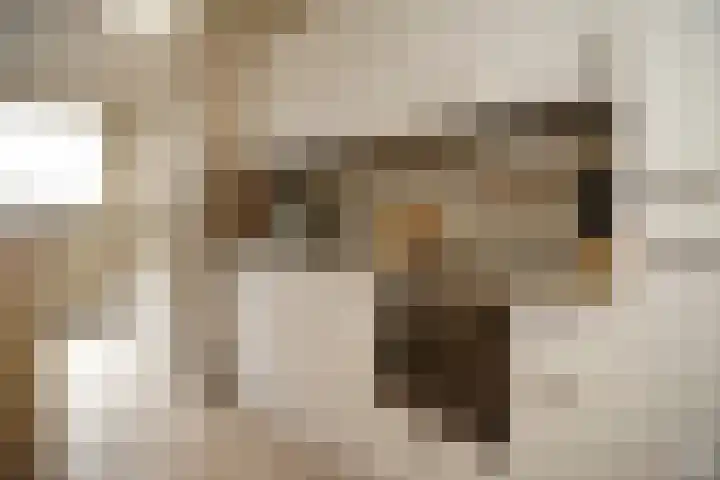 Ledelplein 14 Oostburg thumbnail 8