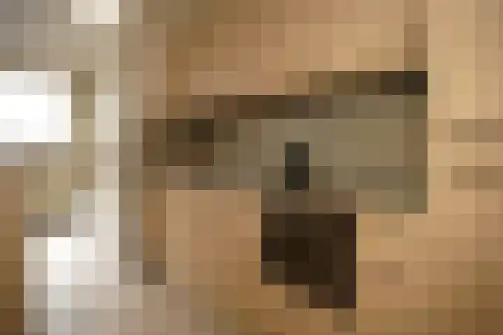 Ledelplein 14 Oostburg thumbnail 9