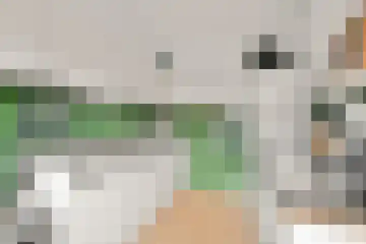 Leden 31 Nieuw-Vennep thumbnail 14