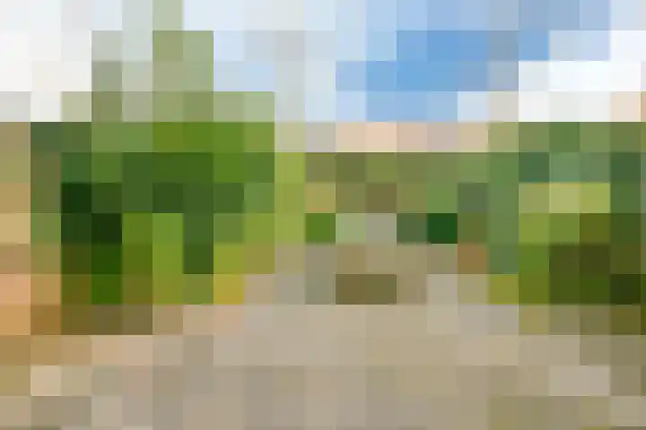Leden 31 Nieuw-Vennep thumbnail 16