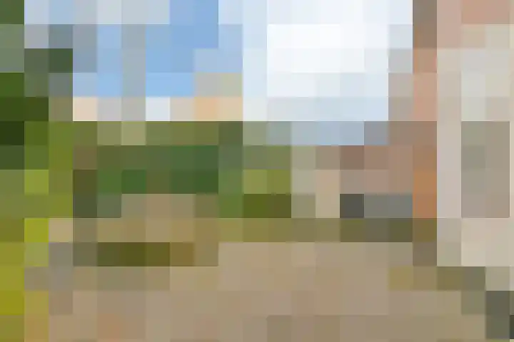Leden 31 Nieuw-Vennep thumbnail 17