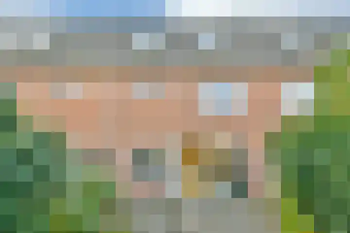 Leden 31 Nieuw-Vennep thumbnail 19
