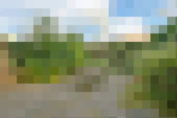 Leden 31 Nieuw-Vennep thumbnail 4
