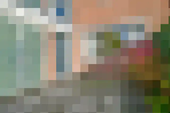 Leden 31 Nieuw-Vennep thumbnail 5