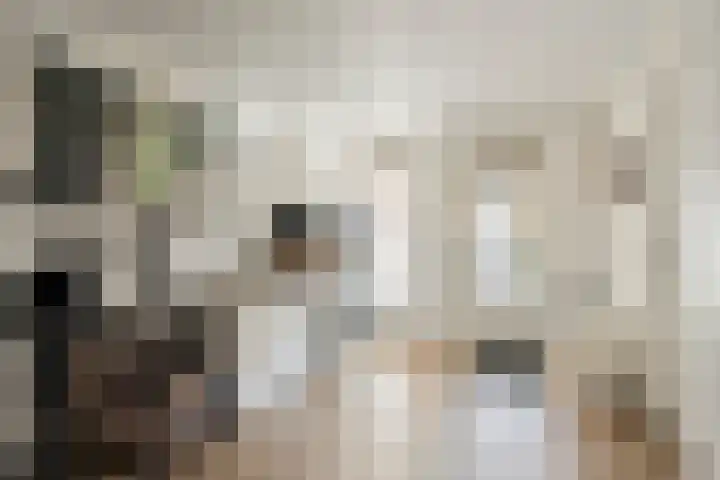 Lederstraat 4 Best thumbnail 17
