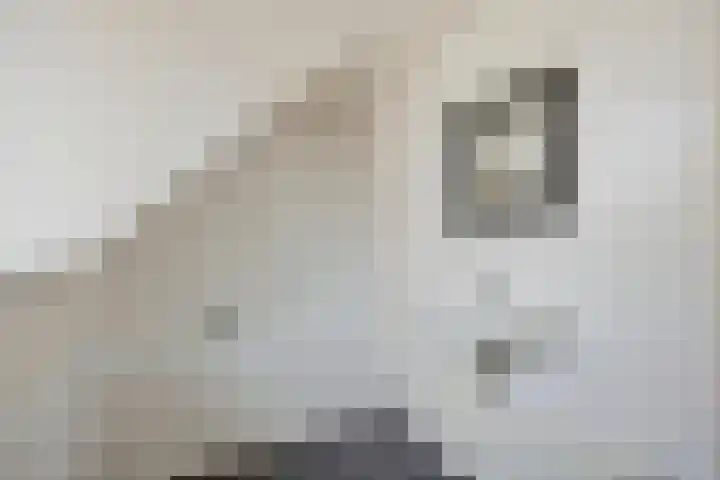 Lederstraat 4 Best thumbnail 27