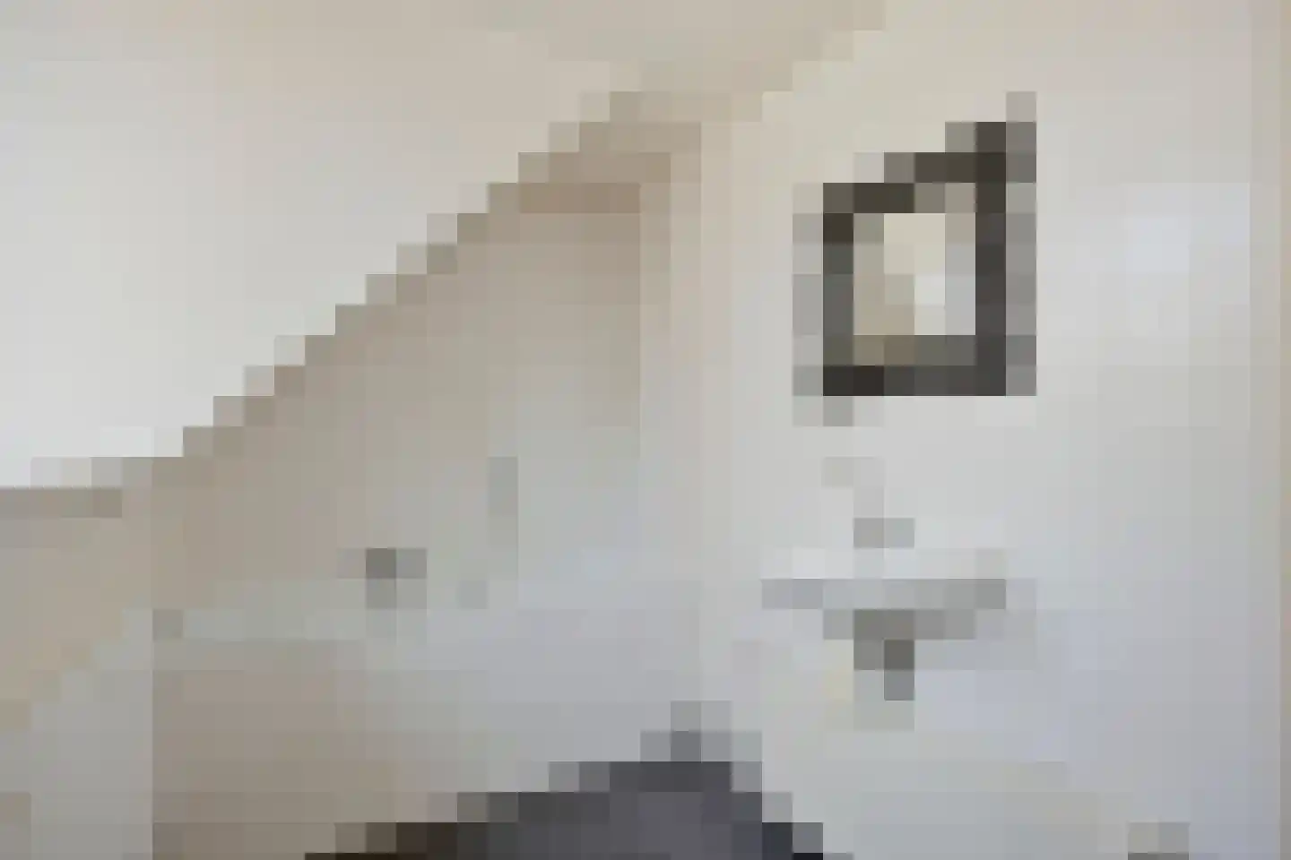 Lederstraat 4 Best thumbnail 27