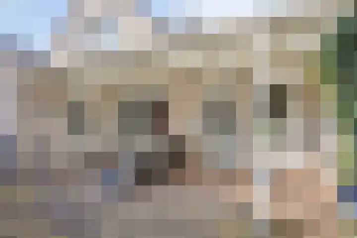 Lederstraat 4 Best thumbnail 35
