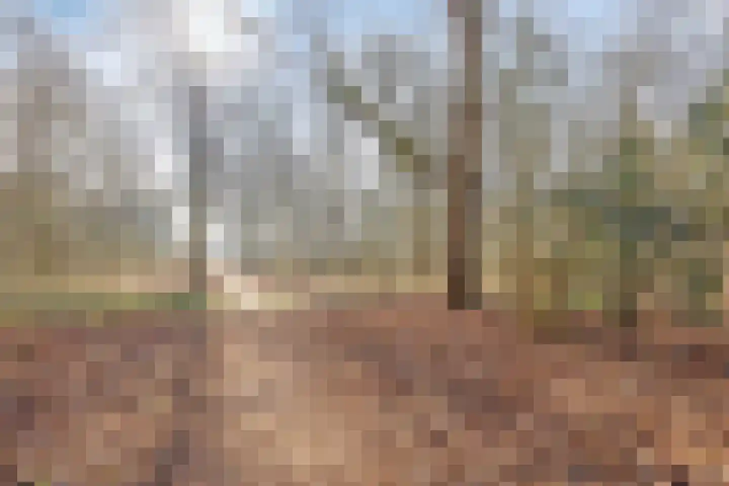 Lederstraat 4 Best thumbnail 40