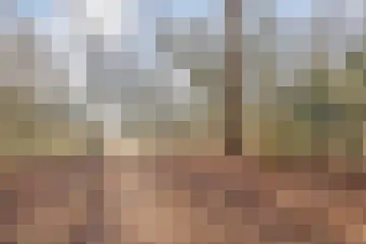Lederstraat 4 Best thumbnail 40