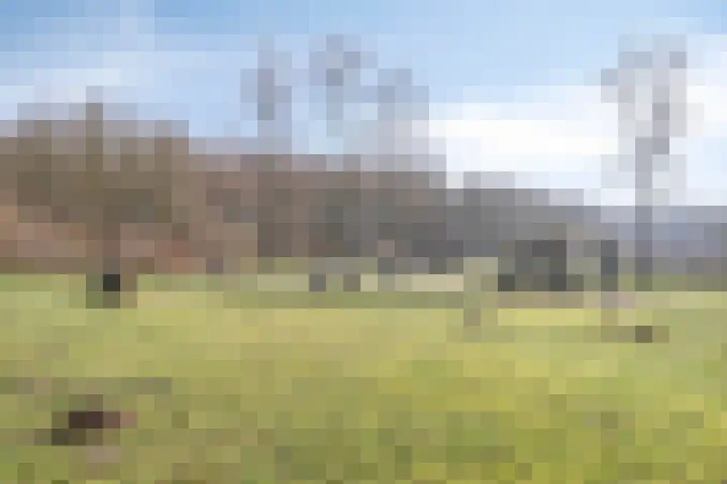 Lederstraat 4 Best thumbnail 41