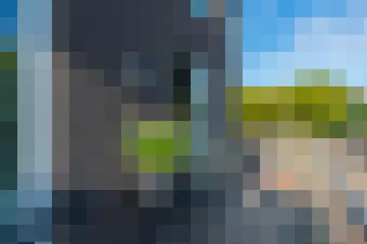 Ledig Erf 16 Utrecht thumbnail 18